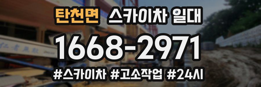 탄천면 스카이차 일대
