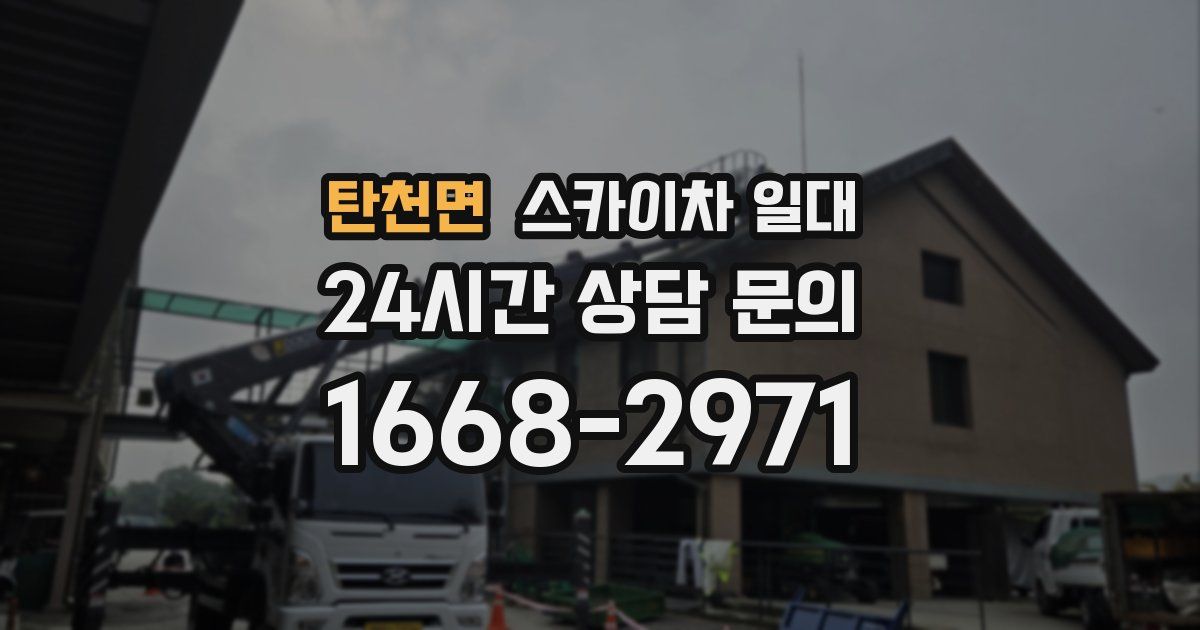 탄천면 스카이차 일대