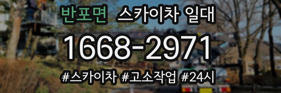 반포면 스카이차 일대