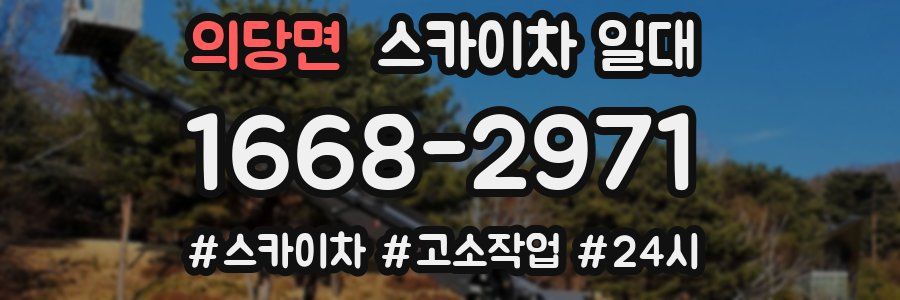 의당면 스카이차 일대