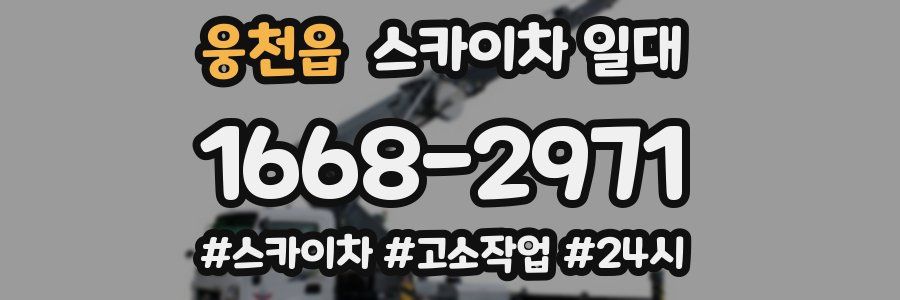 웅천읍 스카이차 일대