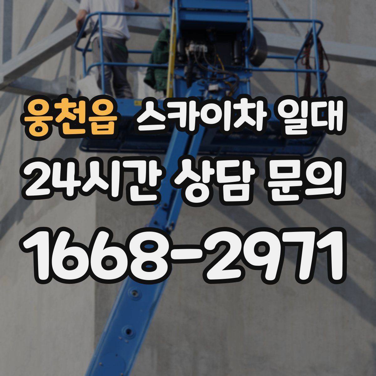 웅천읍 스카이차 일대