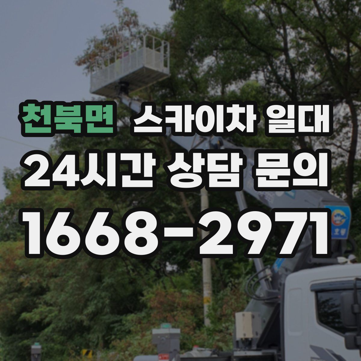 천북면 스카이차 일대