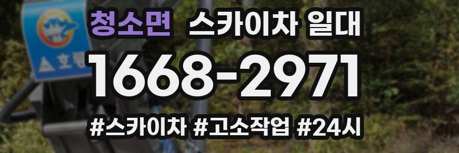 청소면 스카이차 일대