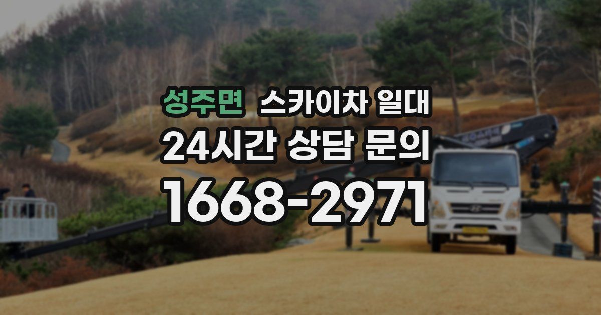 성주면 스카이차 일대