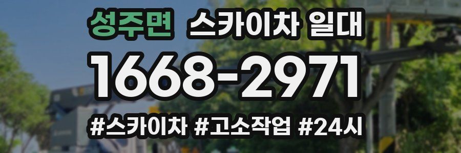 성주면 스카이차 일대