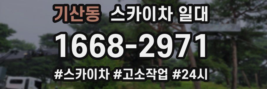 기산동 스카이차 일대
