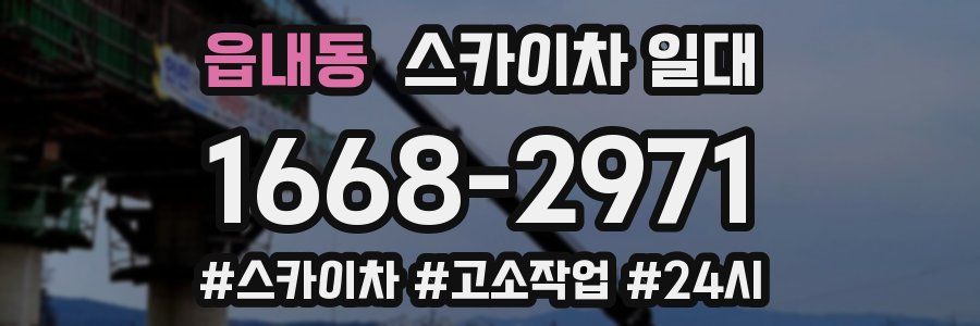 읍내동 스카이차 일대