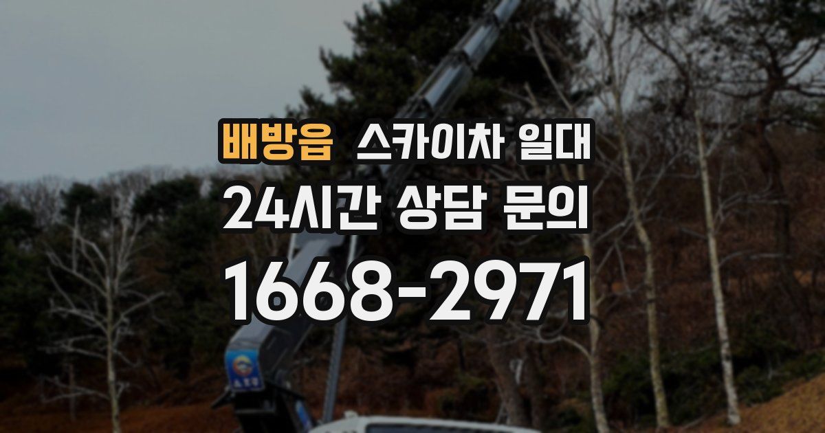 배방읍 스카이차 일대