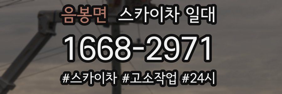 음봉면 스카이차 일대
