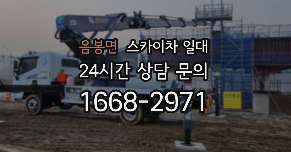 음봉면 스카이차 일대