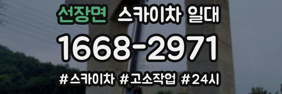 선장면 스카이차 일대