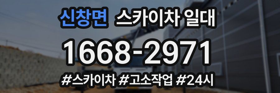 신창면 스카이차 일대