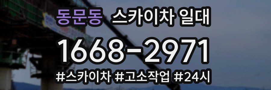 동문동 스카이차 일대