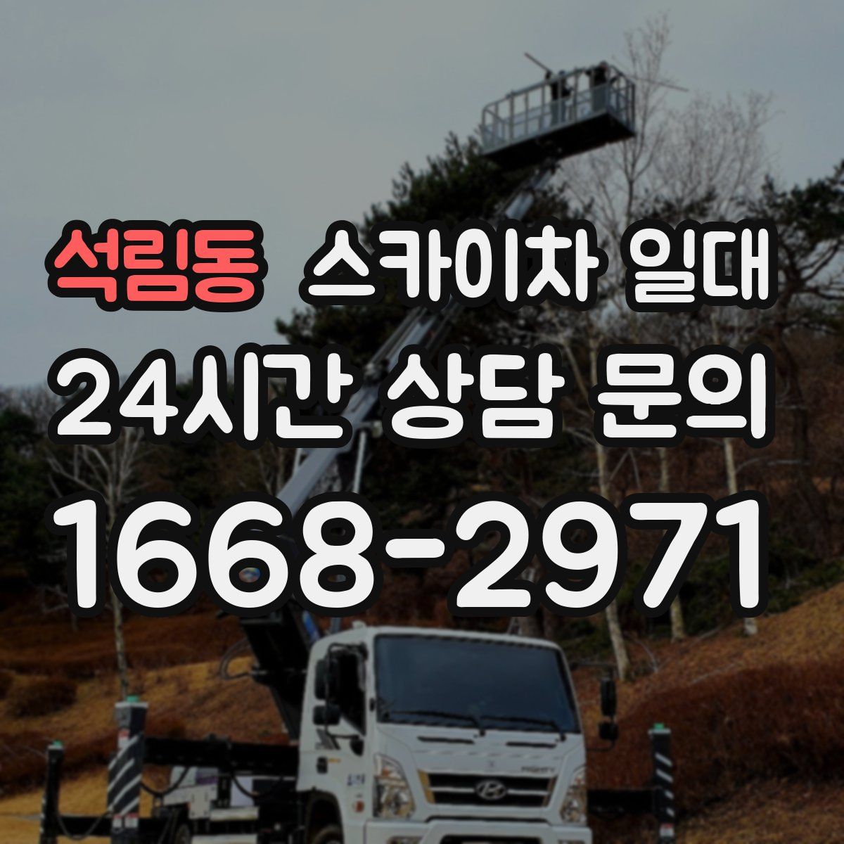 석림동 스카이차 일대