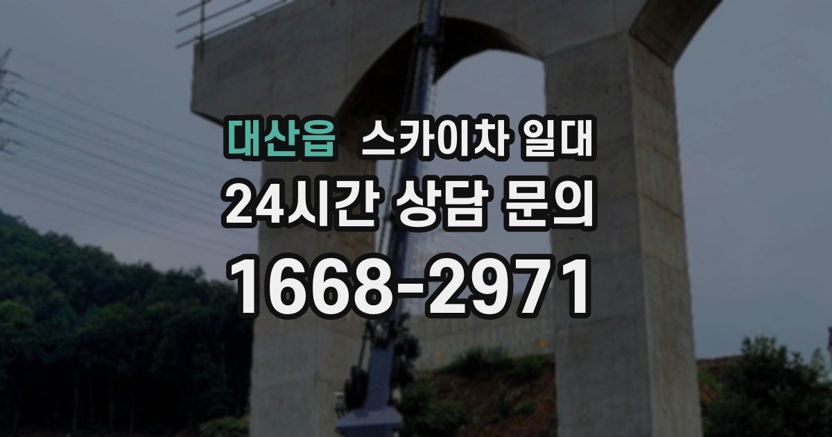 대산읍 스카이차 일대