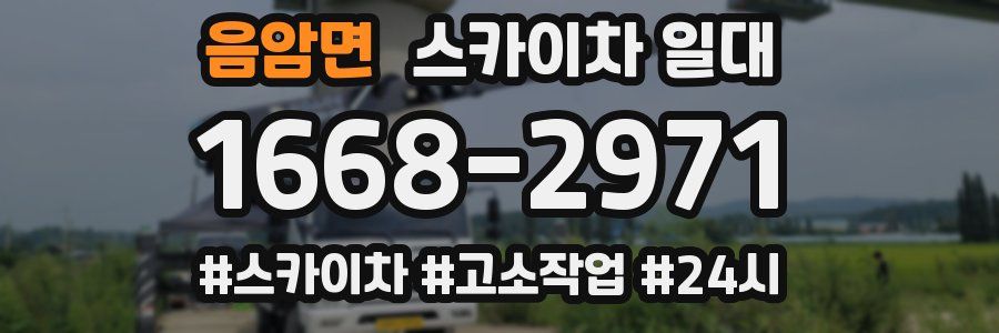 음암면 스카이차 일대