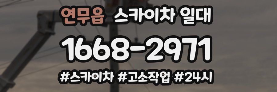 연무읍 스카이차 일대