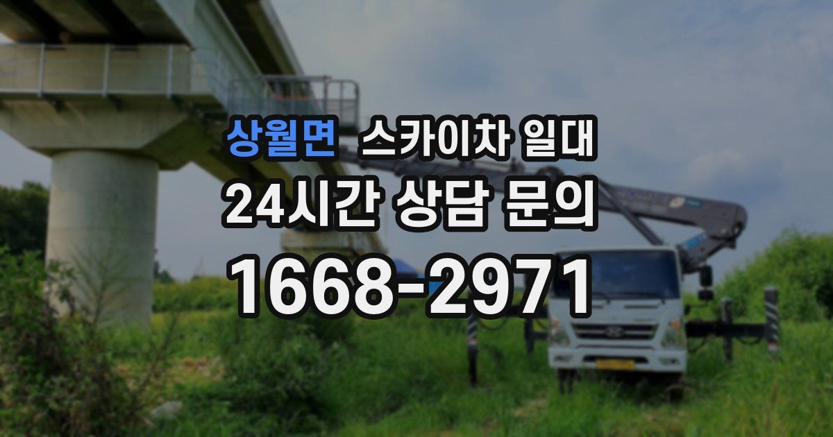상월면 스카이차 일대