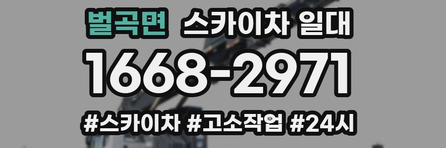 벌곡면 스카이차 일대