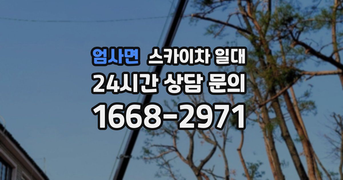 엄사면 스카이차 일대