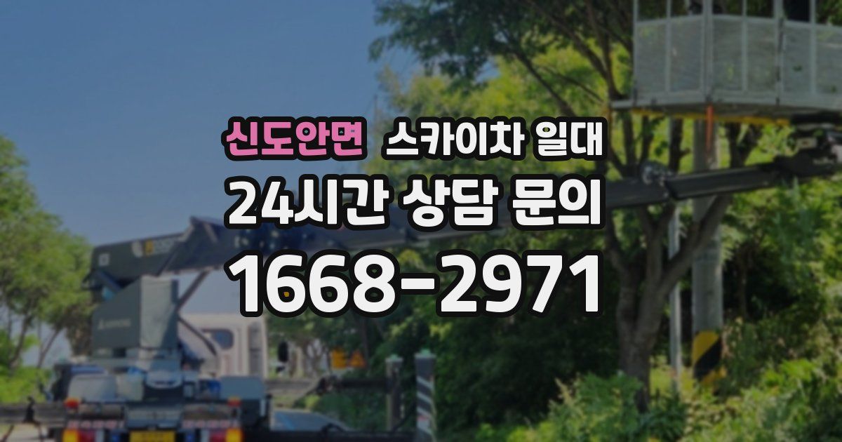 신도안면 스카이차 일대