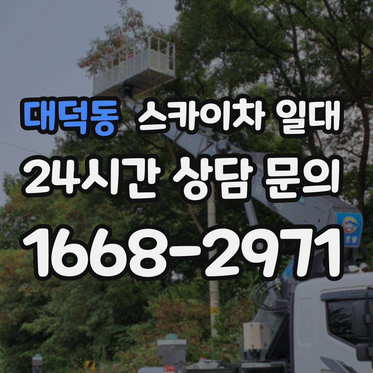 대덕동 스카이차 일대