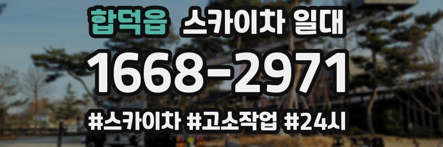 합덕읍 스카이차 일대