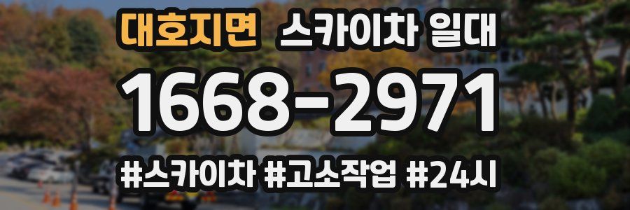 대호지면 스카이차 일대