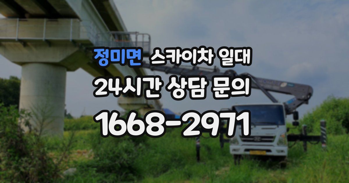 정미면 스카이차 일대