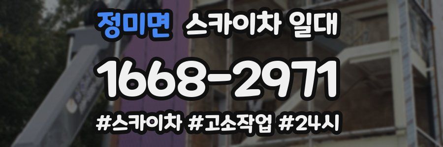 정미면 스카이차 일대