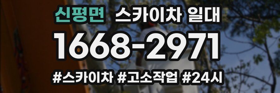 신평면 스카이차 일대