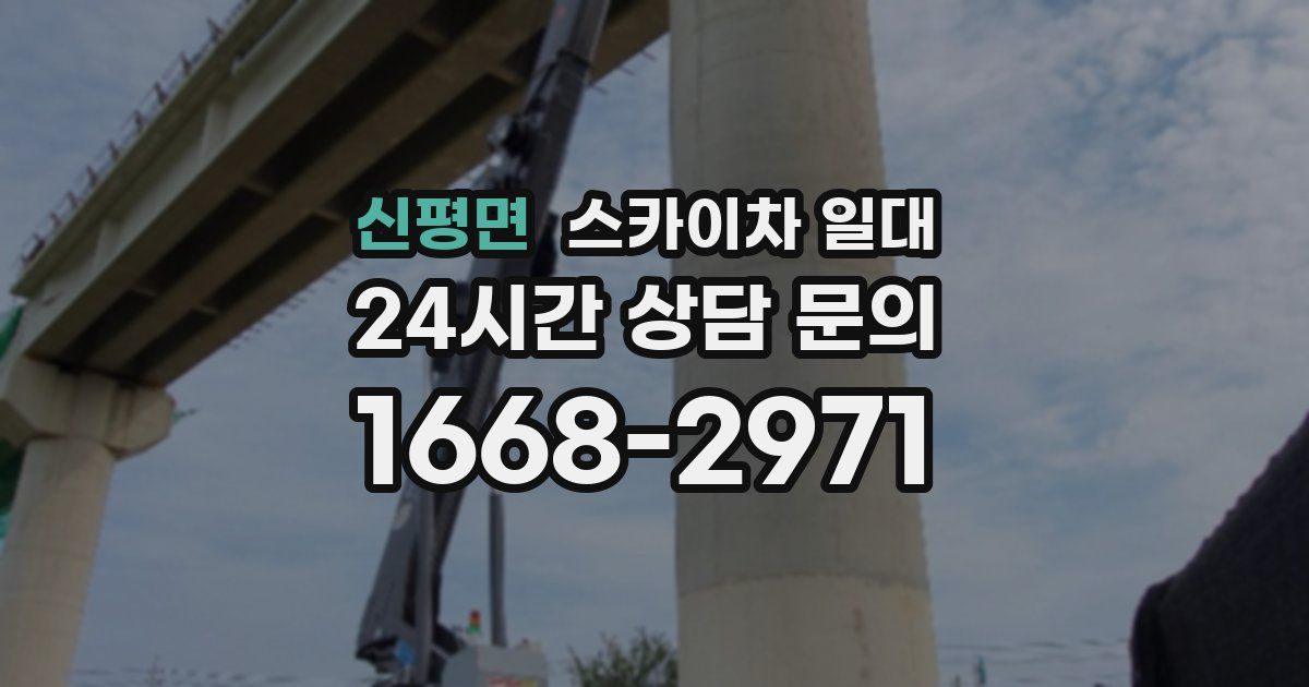 신평면 스카이차 일대