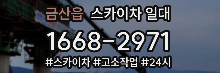 금산읍 스카이차 일대