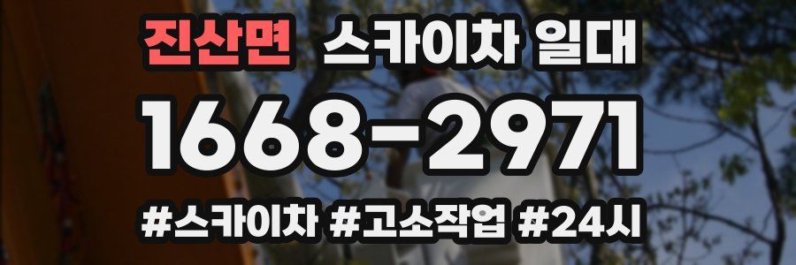 진산면 스카이차 일대