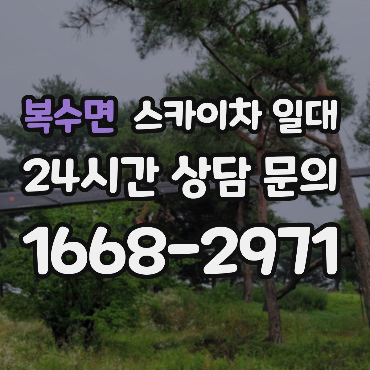 복수면 스카이차 일대