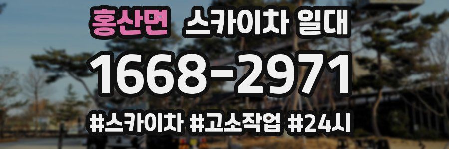 홍산면 스카이차 일대