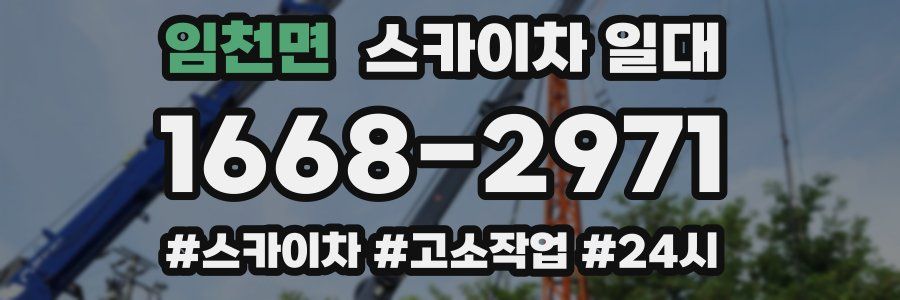 임천면 스카이차 일대