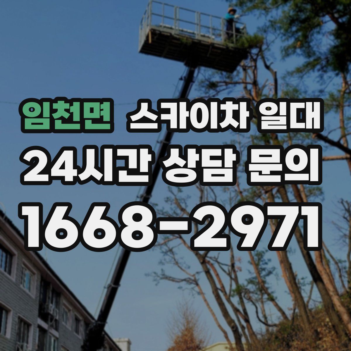 임천면 스카이차 일대
