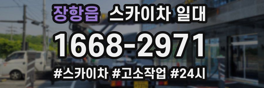 장항읍 스카이차 일대