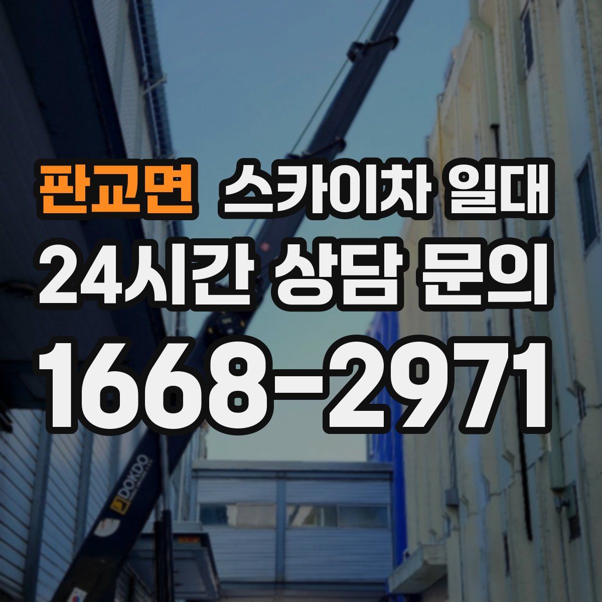 판교면 스카이차 일대