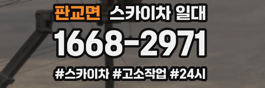 판교면 스카이차 일대