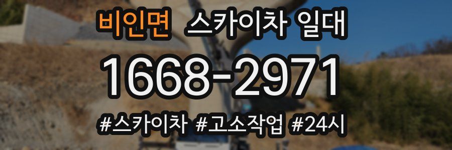 비인면 스카이차 일대