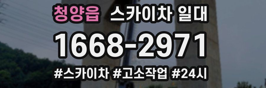 청양읍 스카이차 일대
