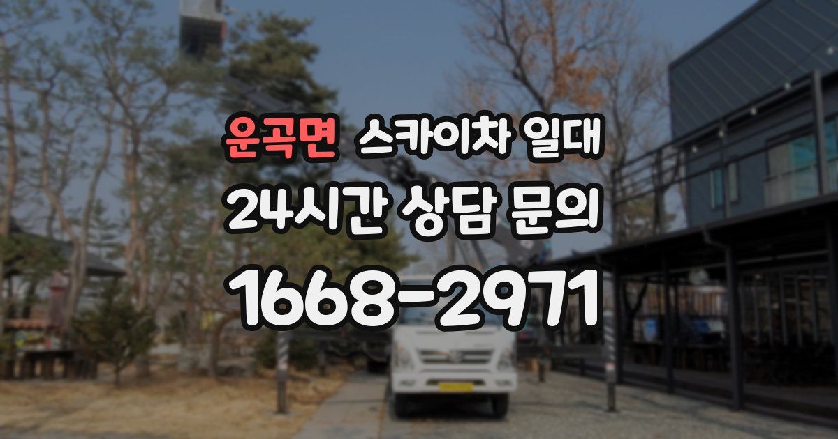 운곡면 스카이차 일대