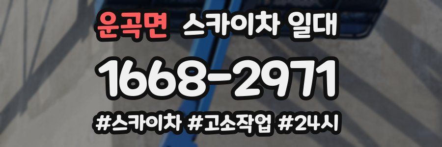 운곡면 스카이차 일대