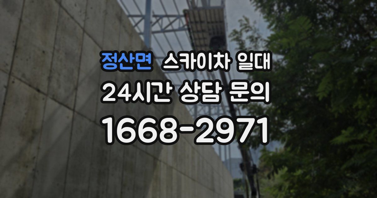 정산면 스카이차 일대