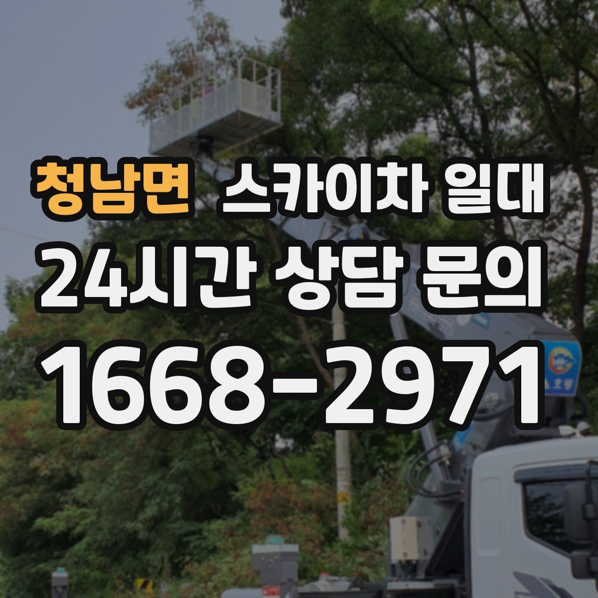 청남면 스카이차 일대