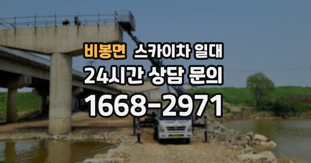 비봉면 스카이차 일대