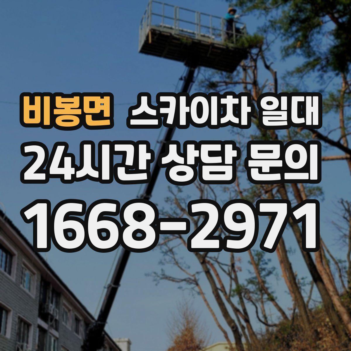 비봉면 스카이차 일대